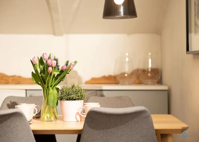 Klaus Kinski * 索波特