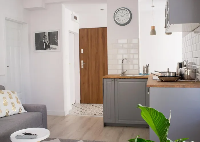 公寓 Klaus Kinski 索波特