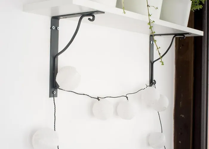 Klaus Kinski * 索波特